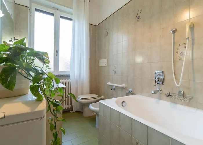 Mamma Ciccia - Mountains &