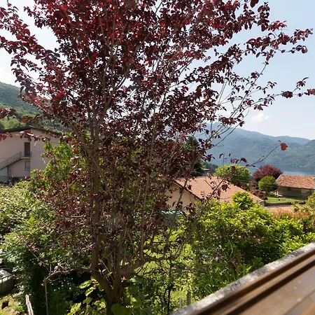 Apartamento Mamma Ciccia - Mountains & Mandello del Lario